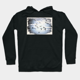 The birds in the Wind Hoodie